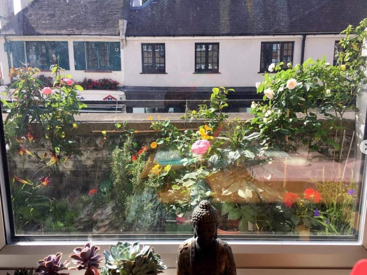 A book is a&nbsp;meditation